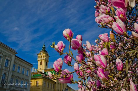 szeged_szallas.jpg